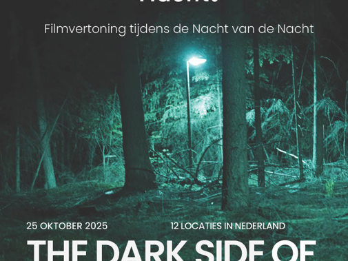 Filmposter Nacht Van De Nacht (3)