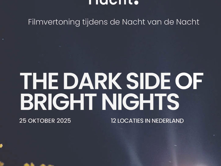 Filmposter Nacht Van De Nacht (4)