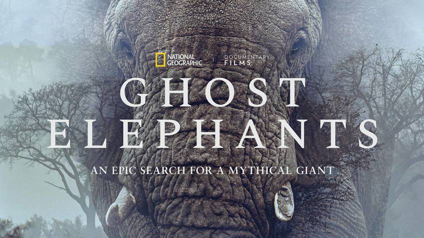Ghost Elephants Poster