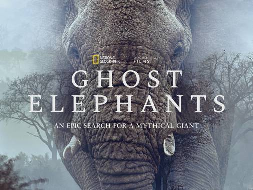 Ghost Elephants Poster