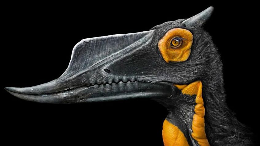 Paleorex
