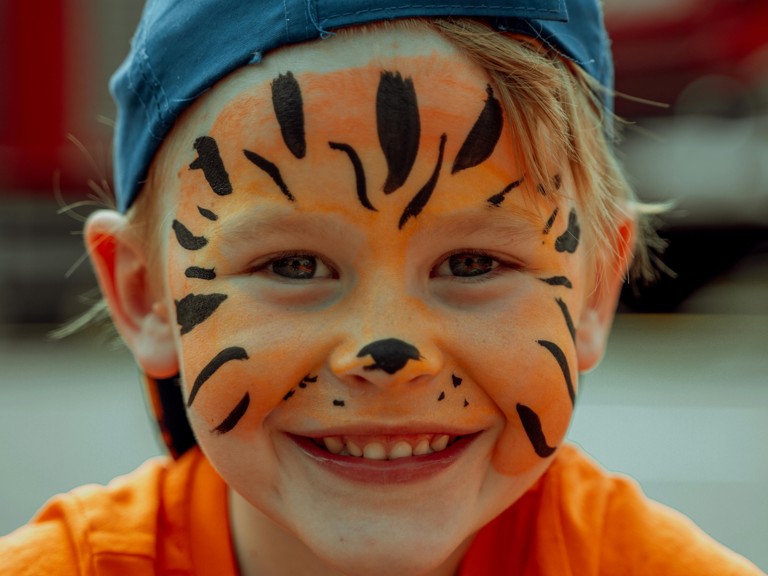 Sminken Tijger Jongen