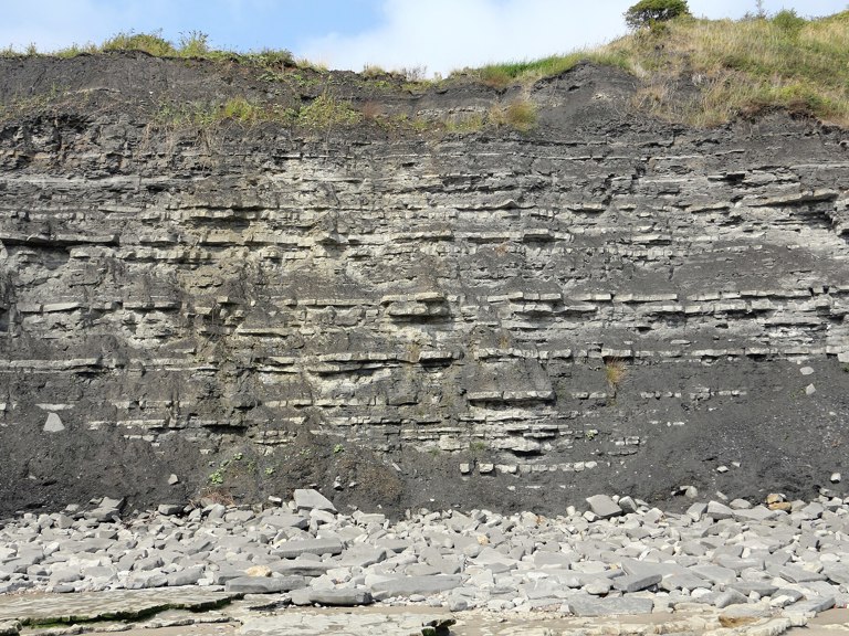 Blue Lias formation by Alan Walker, CC BY-SA 2.0, Wikimedia Commons