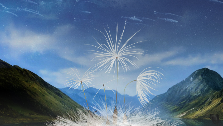 Dandelion S Odyssey Ps 1 Jpg Sd High