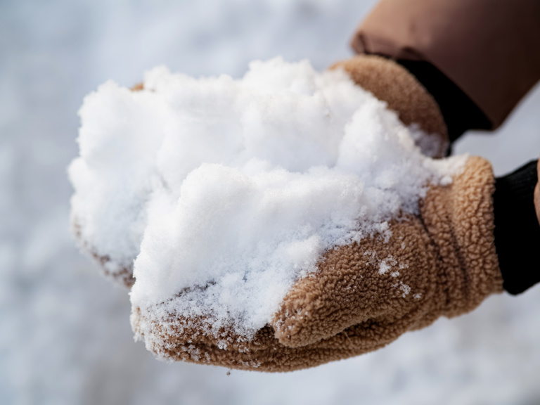 Adobestock 1908650716