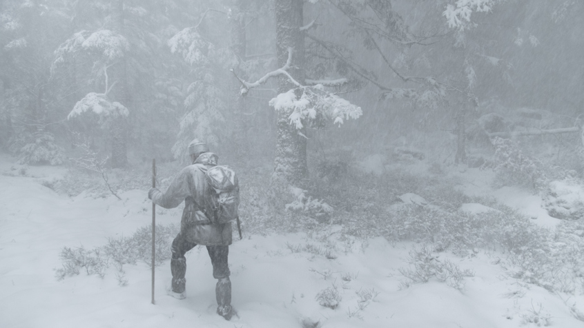 Whispers In The Woods St 11 Jpg Sd High