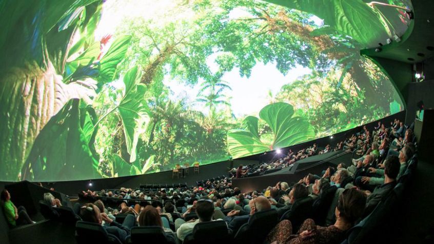 20220420 Museon X2i2733small