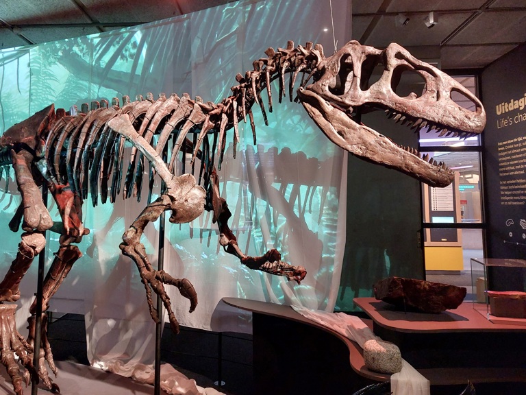Tijdreistheater Allosaurus 2