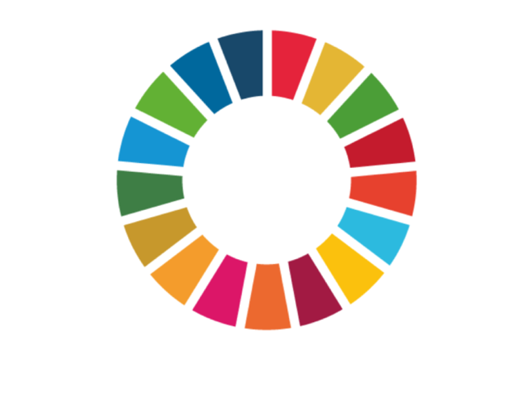 3. SDG Cirkel Groter 3 1030X493