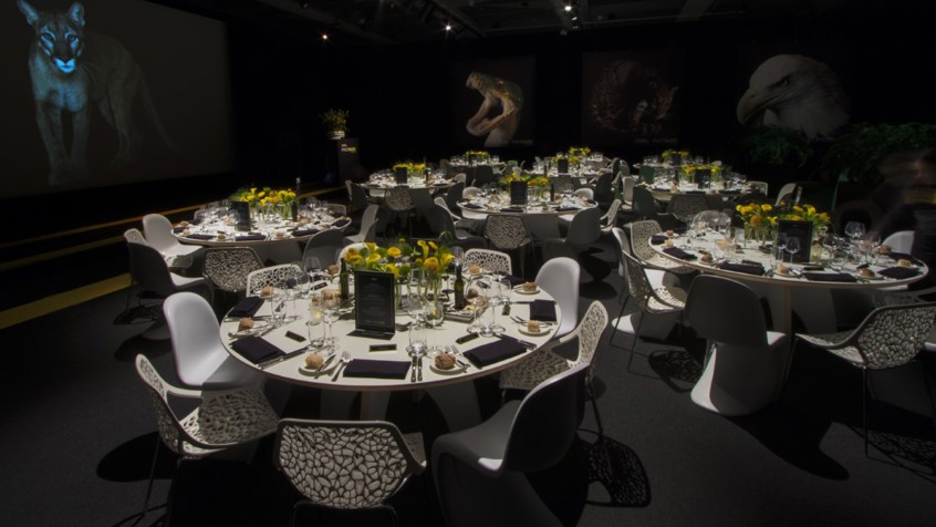 Diner Set Up Auditorium