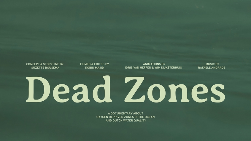 Deadzones SB Poster