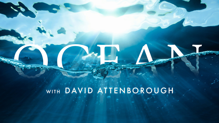 Poster Ocean with David Attenborough