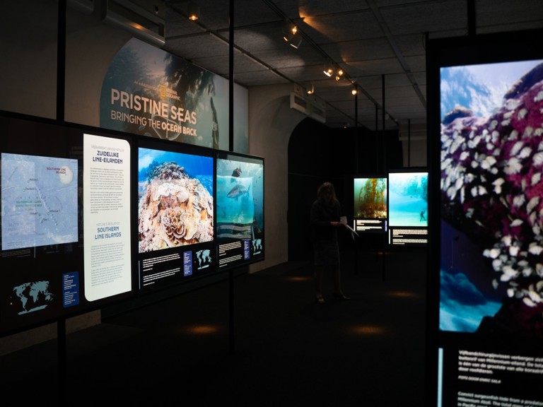 MO Pristine Seas (5)
