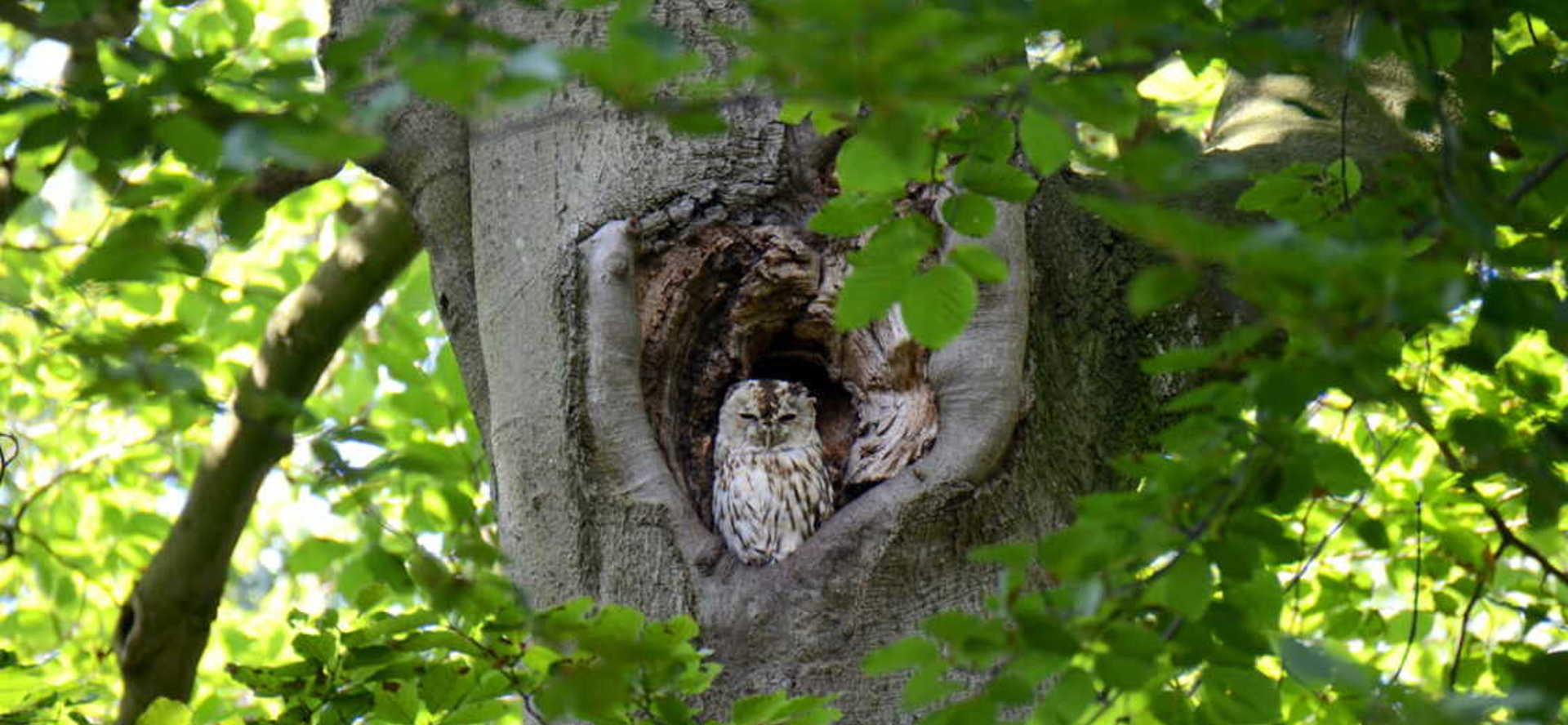 711E29f4 6Cfd 4D4a 8C67 Acb7b020890e