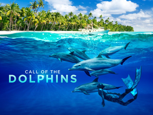 Versimpelde poster Call of the Dolphins