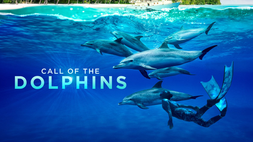 Versimpelde poster Call of the Dolphins