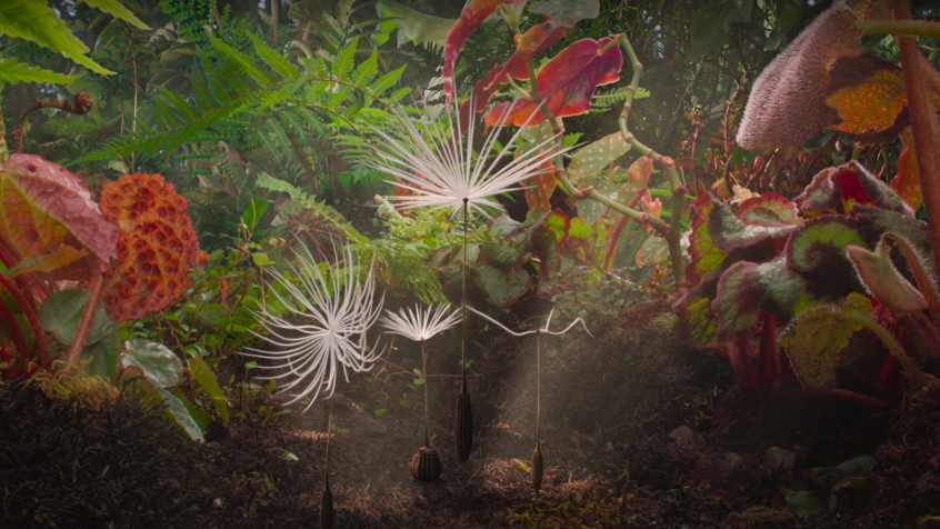 Dandelion S Odyssey St 9 Jpg Sd High