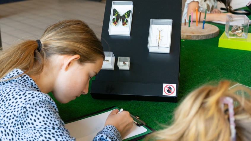 Foto's Es Van Amstel 25