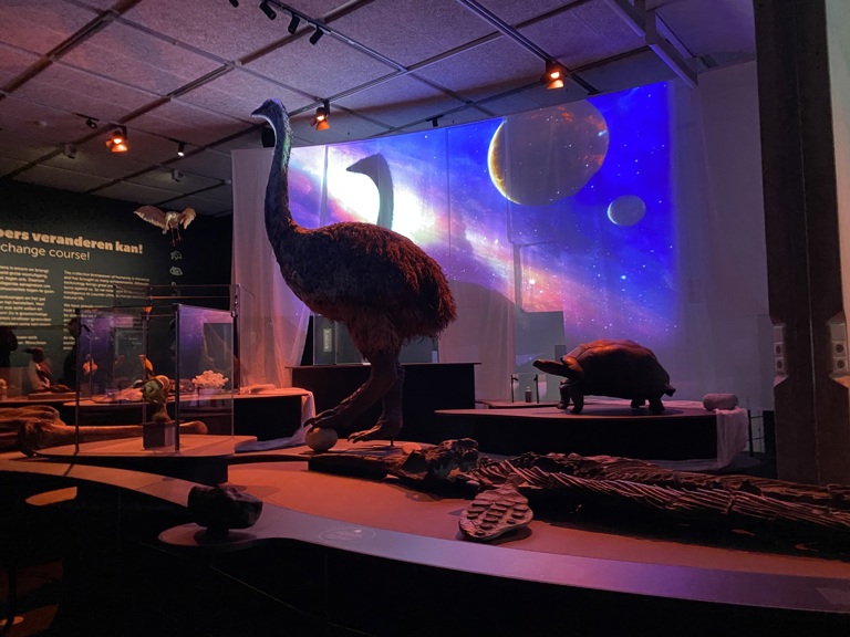 Tijdreistheater Olifantsvogel