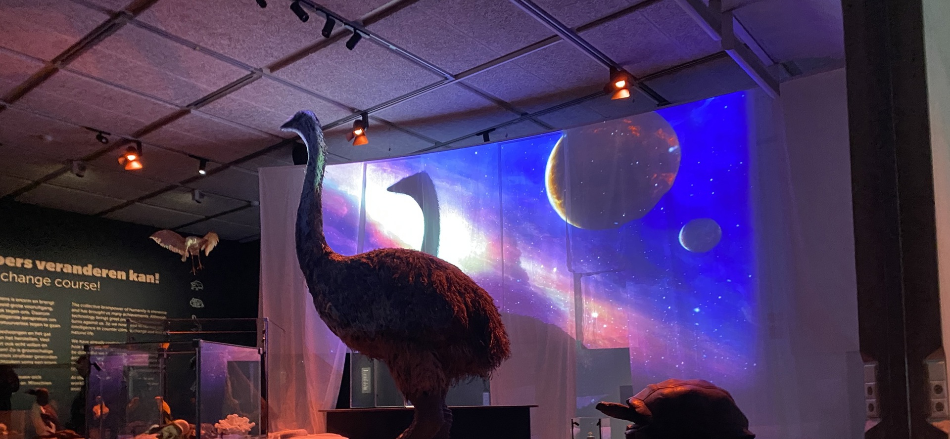 Tijdreistheater Olifantsvogel