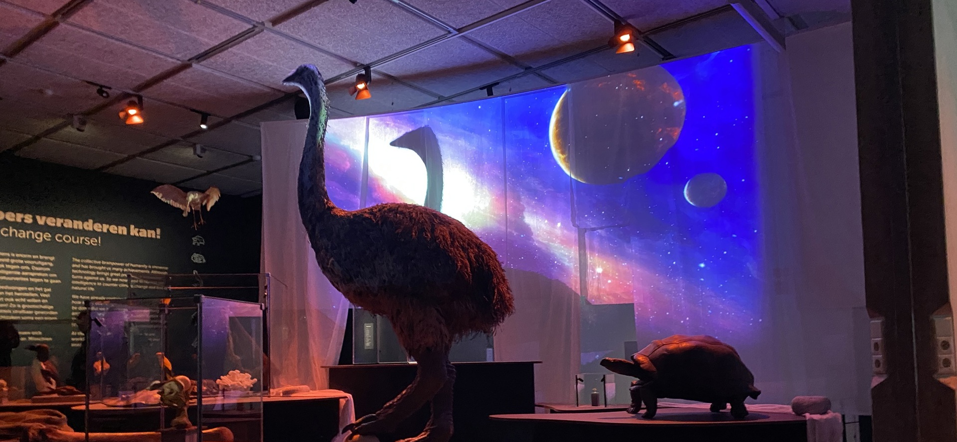 Tijdreistheater Olifantsvogel