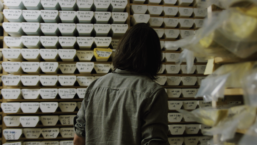 Dead Zones Documentary Still 16