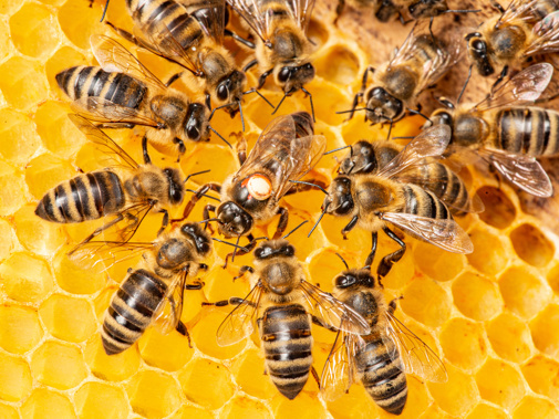 Adobestock 405165180