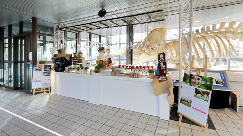Foyer 1