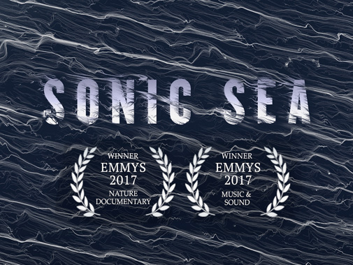Sonic Sea Poster