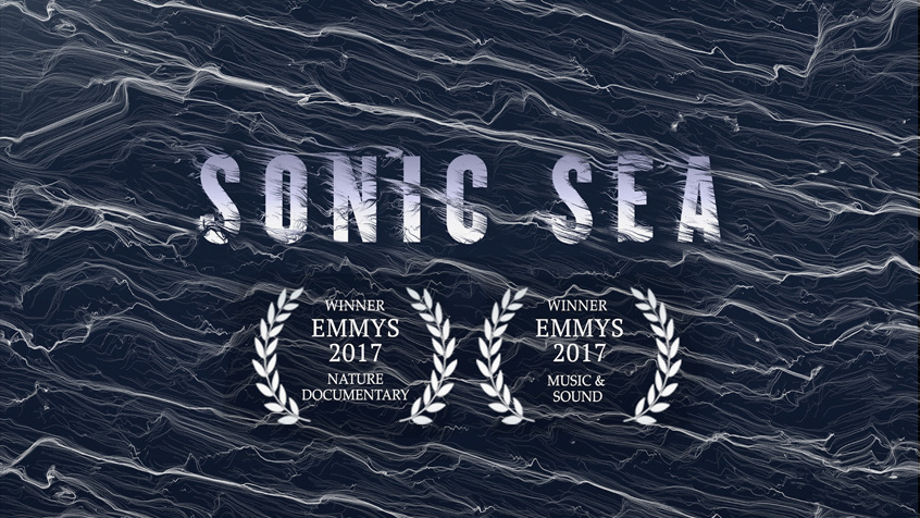 Sonic Sea Poster