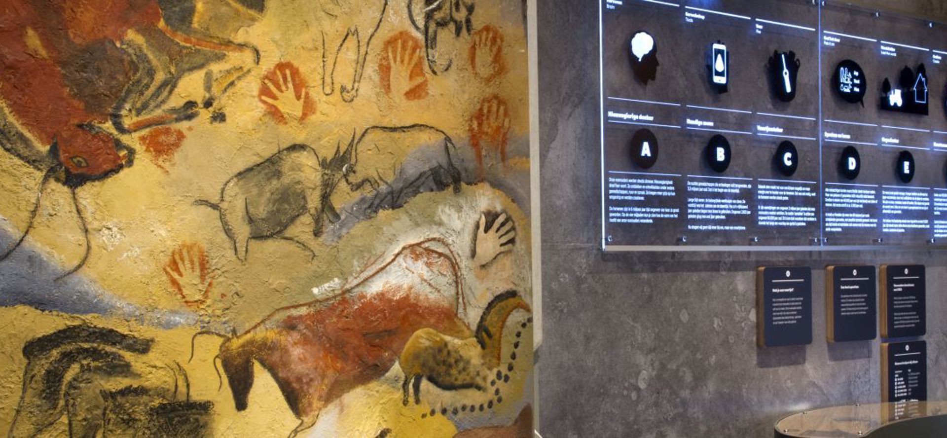 Mens En Evolutie 001