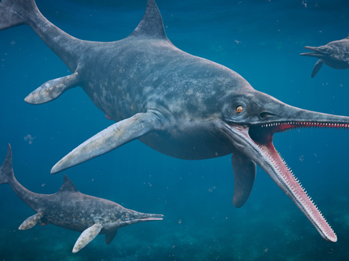 Adobestock 452845670