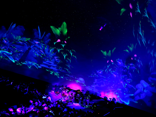 Mesmerica Img 4