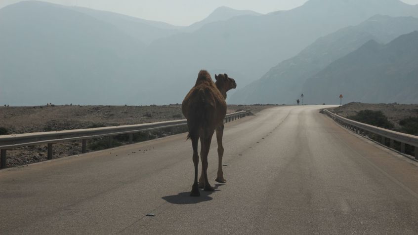 Lezing Oman (1)