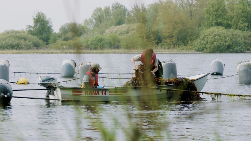 Dead Zones Documentary Still 18