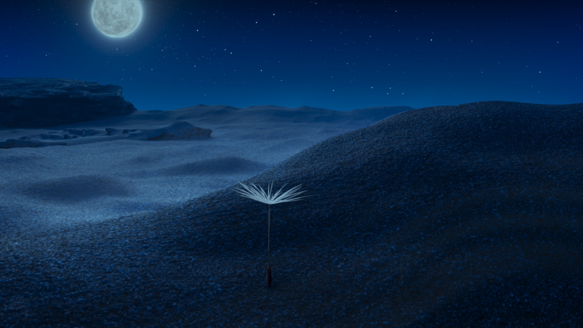 Dandelion S Odyssey St 6 Jpg Sd High