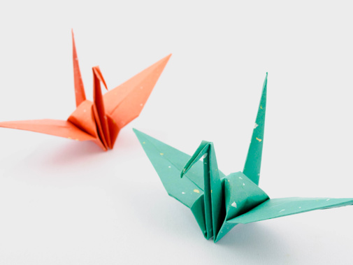 Adobestock 370074308