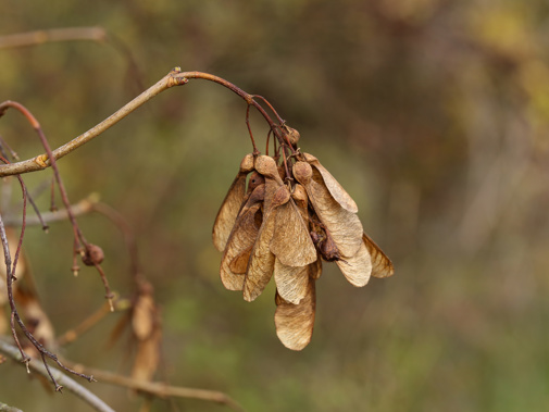 Adobestock 305681903