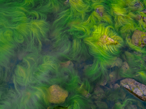 Adobestock 276829241