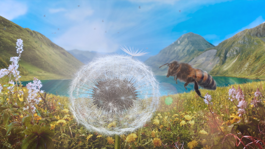 Dandelion S Odyssey St 1 Jpg Sd High