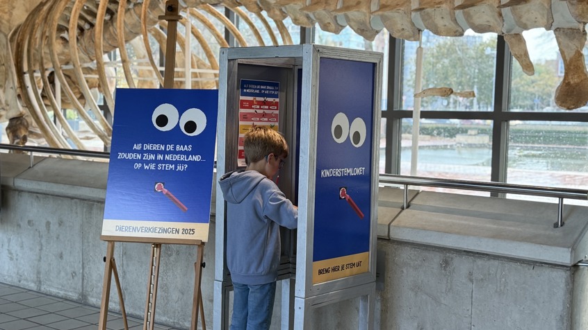 Kind in stemhokje (1)