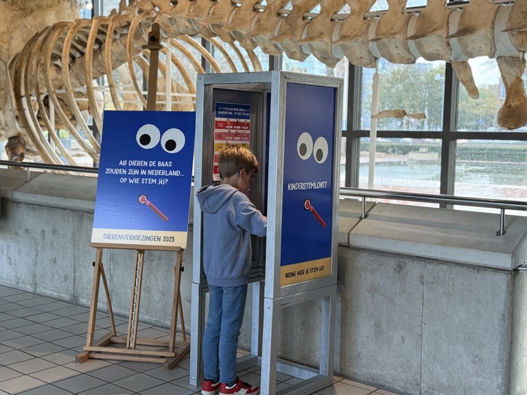 Kind in stemhokje (1)