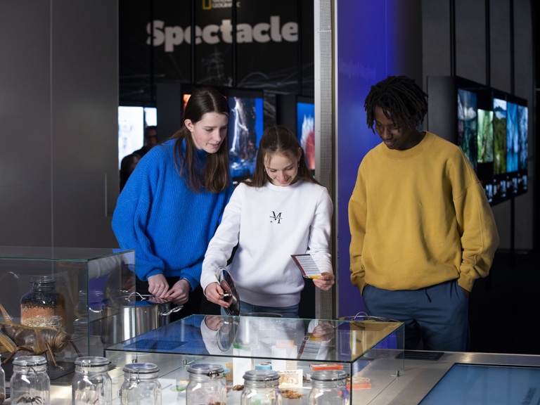 SDG2 Jeugd Kijkt In Pannen Klein