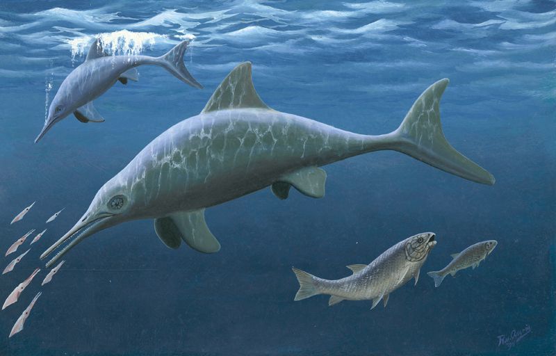 Tekening ichthyosaurus