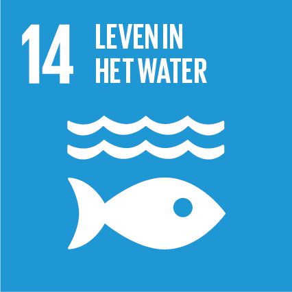 Logo SDG 14: Leven in het water