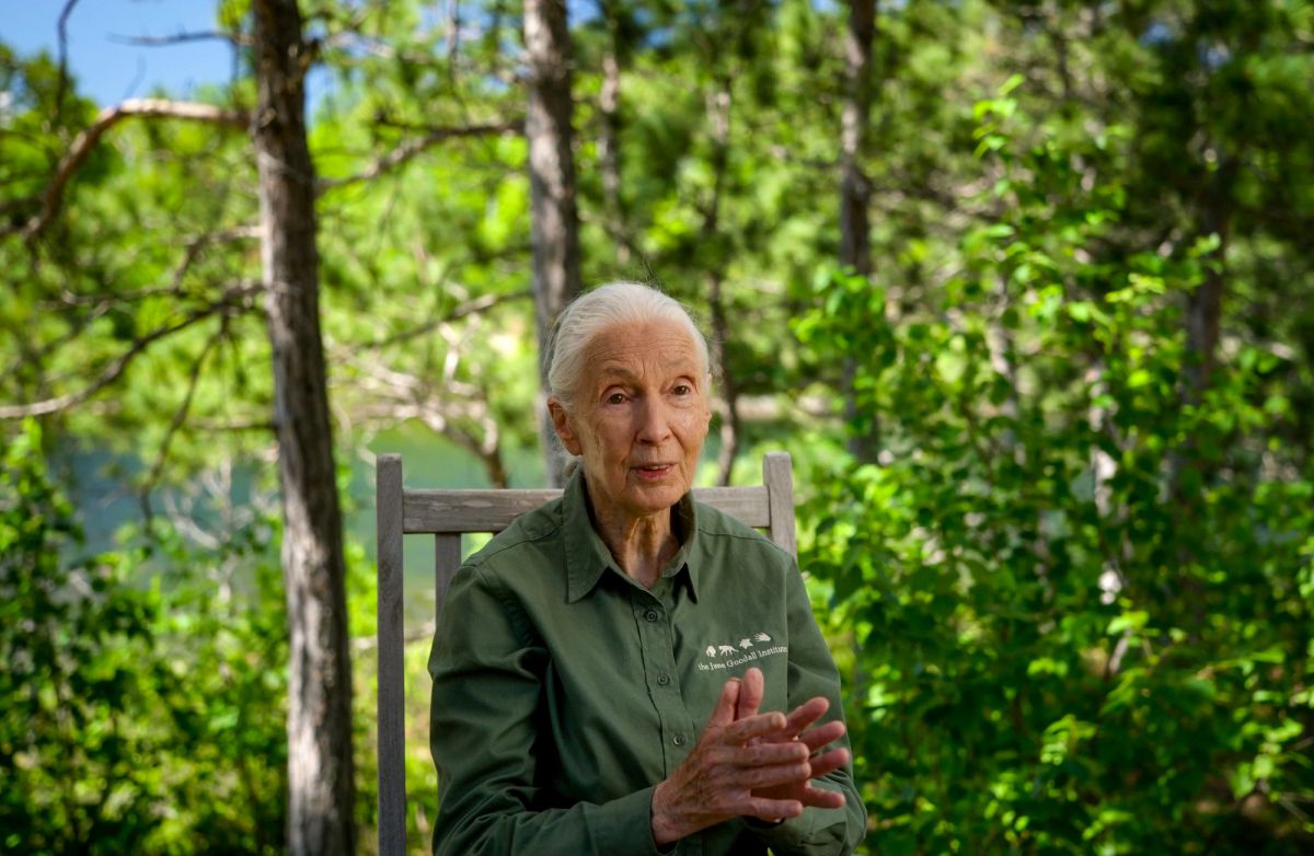 Jane Goodall Reasons for Hope