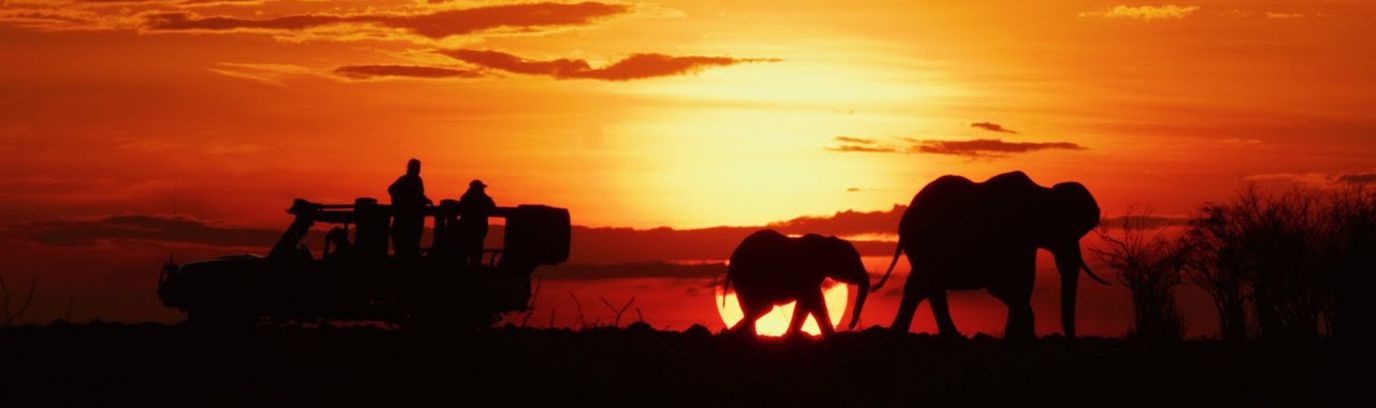 Beeld uit de film Serengeti