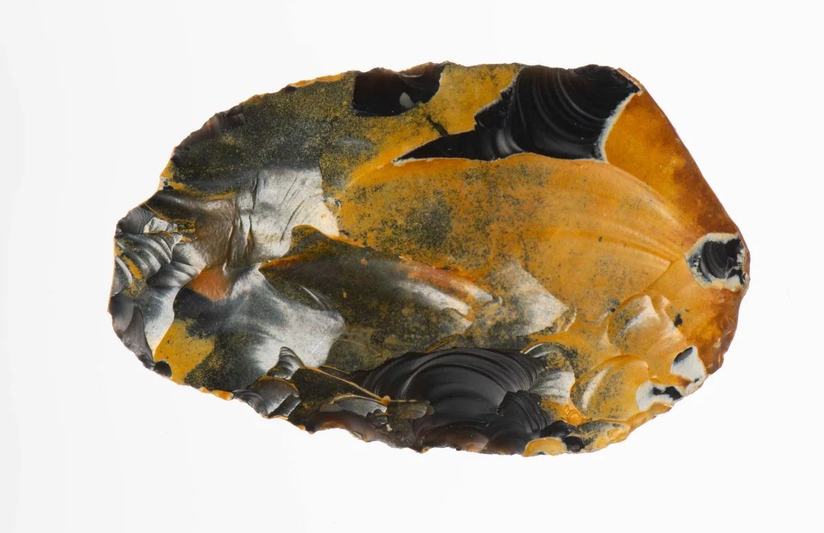Vuurstenen ‘schaaf’, 80.000-50.000 jaar oud (Foto: Rijksmuseum van Oudheden)