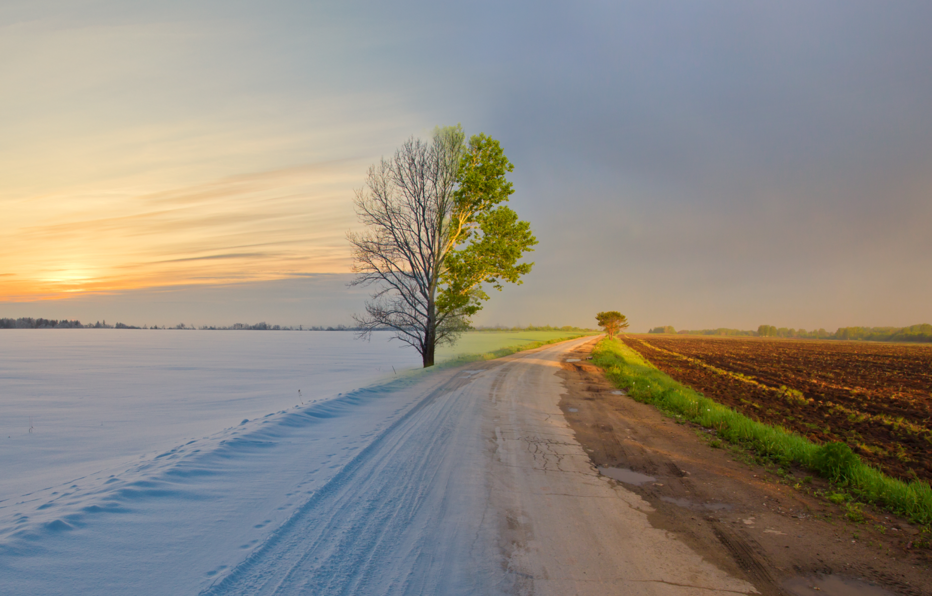 Collage van twee foto's van een landschap: aan de linkerkant met sneeuw en aan de rechterkant groen
