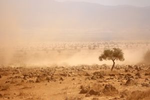 Stoffige vlaktes tijdens een ernstige droogte, Kenia